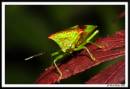 IMG_2691_copy_2-1.jpg