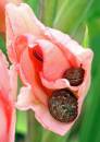 IMG_5030_3126_edited-1.jpg