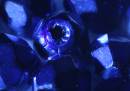 IMG_7005-023_edited-1.jpg