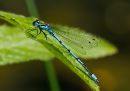 IMG_7744.jpg
