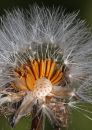 IMG_8939_edited-1.jpg