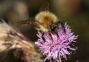IMG_8958_edited-1.jpg