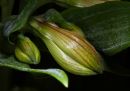 IMG_9071_edited-1.jpg