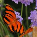 JRG_1824pscladjweb700sr72.jpg