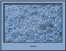 Macrobubblesf1610106_copy_2.jpg