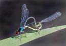 P5300199-DxO_DeepPRIME-3_edited-2.jpg