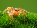 /gallery/data/514/thumbs/PTEDSC04541.jpg