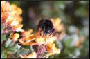 Picture_086.jpg