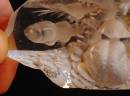 QtzSeascapeMicroSculpture.jpg