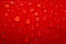Red-Drops.jpg