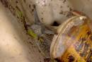 Snail_2.jpg