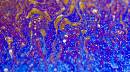Surface_104-n800px.jpg