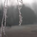 Winter_1.jpg