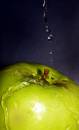 apfel.JPG