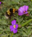 bee050508012.jpg