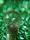 close_up_tiny_bulb_and_bokeh_R.jpg