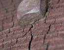 cracked_.jpg