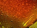 day_230_layers_of_bubbles_R.jpg