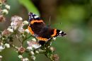disk-6-Bempton-_4-of-76_.jpg
