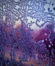 frost_on_car11_04_09.jpg
