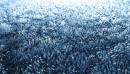 icy_fingers.jpg
