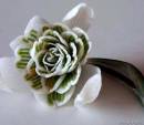 like_a_snowdrop.jpg
