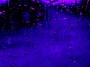 purple_rain.jpg