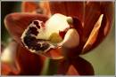 slide_show_052.jpg