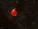 the_red_planet_C.jpg