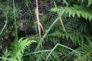 web_4970.jpg