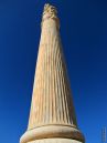 89_1_3-IMG-_88_.jpg