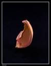 Abstract2-framed.jpg