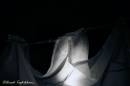 Arash-Date-time_lFFFFCBC8-03D6C_MG_0036_MG_0036_0036.jpg