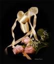Ballerina1.jpg