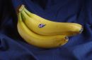 Bannas_on_DBS_scaled.jpg