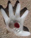 Blood_Blister.jpg