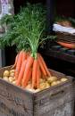 Carrots_in_Woodbridge_resized.jpg