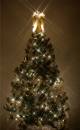 Christmas_Tree.jpg