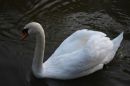 DPDec2010923.JPG