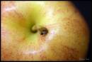 DSC03232.jpg