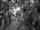 DSC05675.JPG