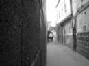 DSC05679.JPG