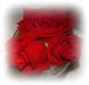 DSCF0127A.jpg