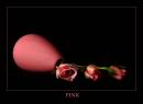 DSC_7898pinkweb.jpg