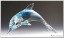 Dolphin.jpg