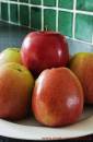 Eating_Apples.jpg