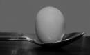Egg_On_Spoon.jpg