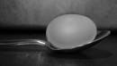 Egg_On_Spoon1.jpg