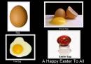 Egg_s_the_end.JPG