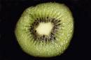 Heart_of_A_Kiwi.jpg